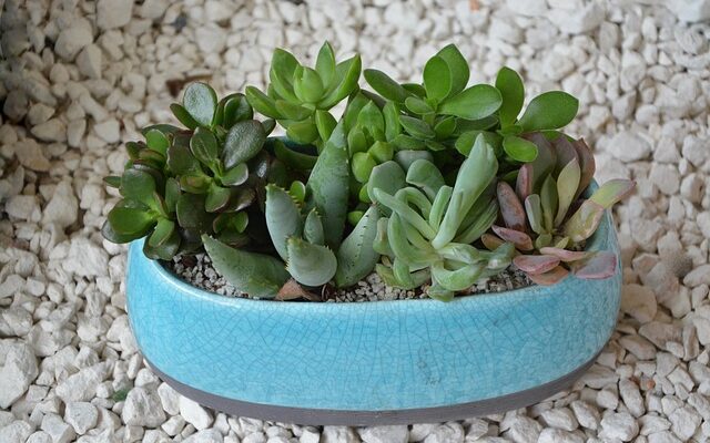 Black friday: Sådan undgår du at blive snydt af falske tilbud